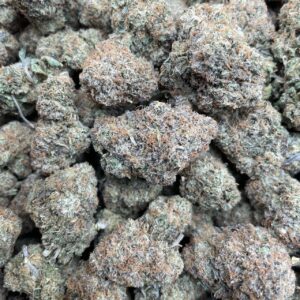 GELATTI INDOOR: CREAMY CANDY  👃