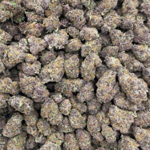 RAINBOW SLUMPED INDOORS 🥤 FULL COLOR BRIGHT PURPLE BAG APPEAL