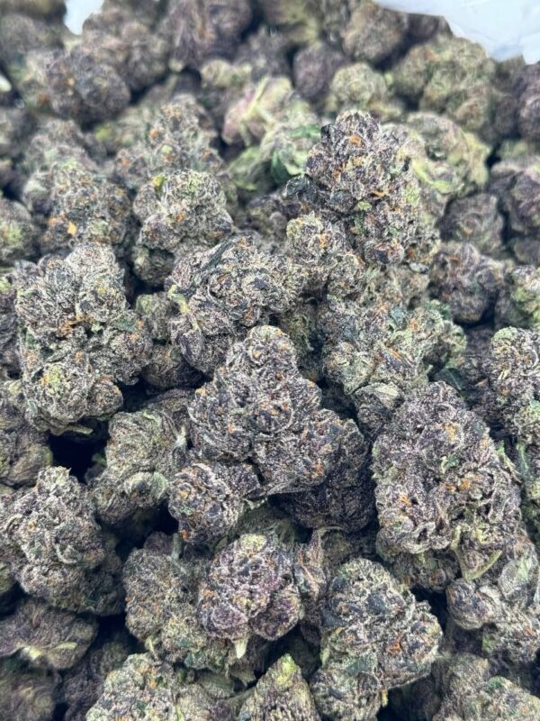 LA Baked Cherry 🍒