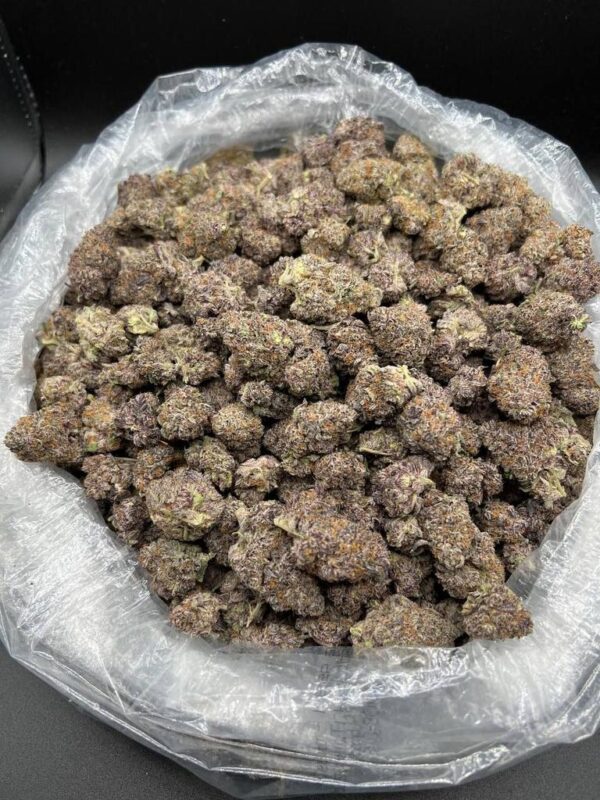 Gelato #33 🍨