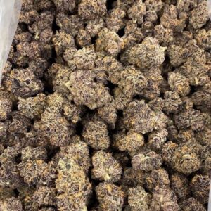 LOBSTER BUTTER 🦞🧈