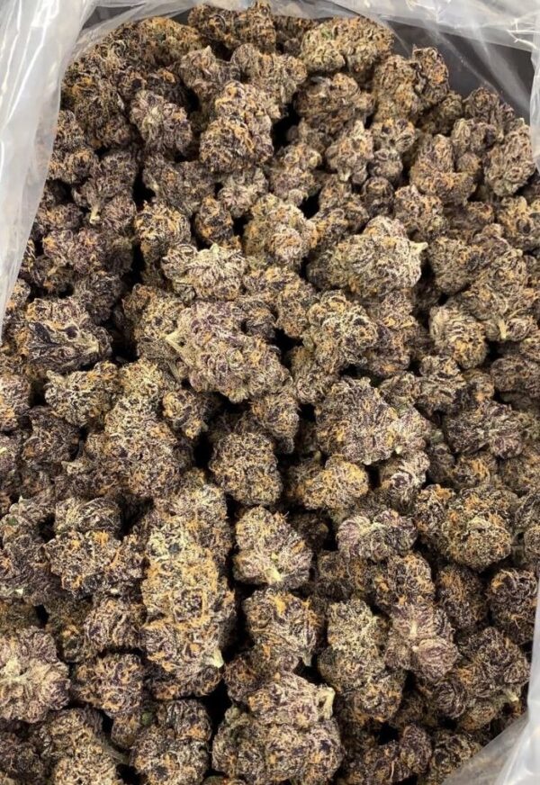 LOBSTER BUTTER 🦞🧈