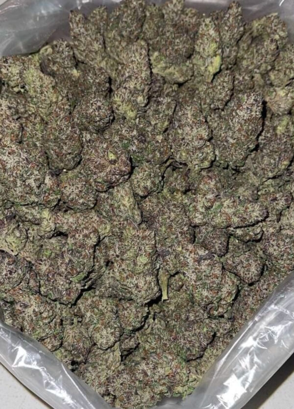 Tropical Fruit Burst 💥 🥤