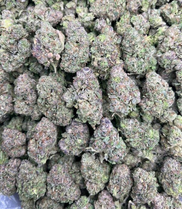 LEMON TREE 🌳